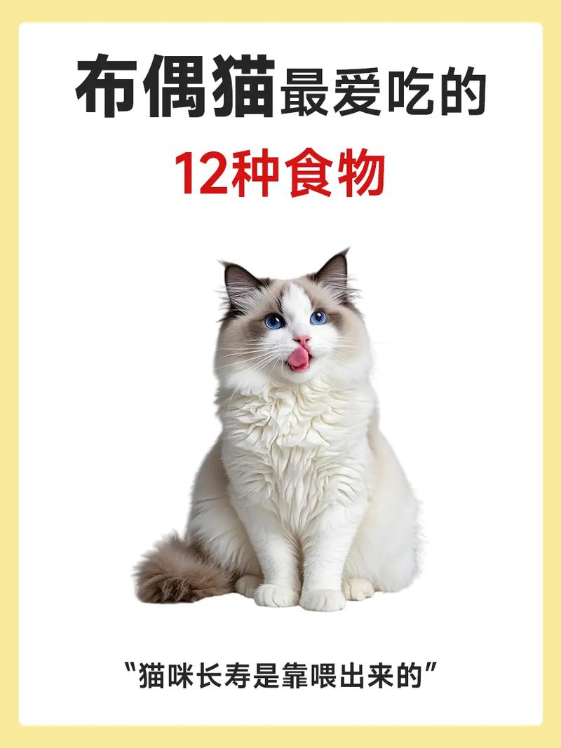 猫咪一周吃几个蛋黄合适