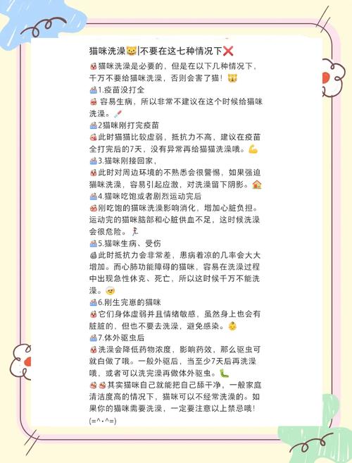 五十多天的小奶猫可以洗澡吗?