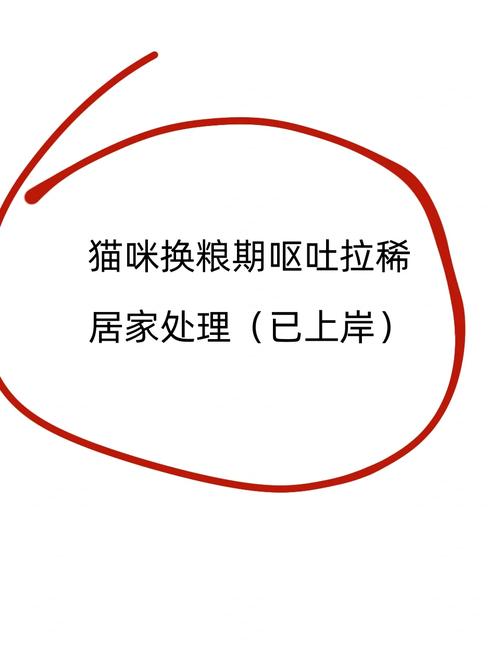 突然换猫粮导致猫咪拉稀怎么处理?