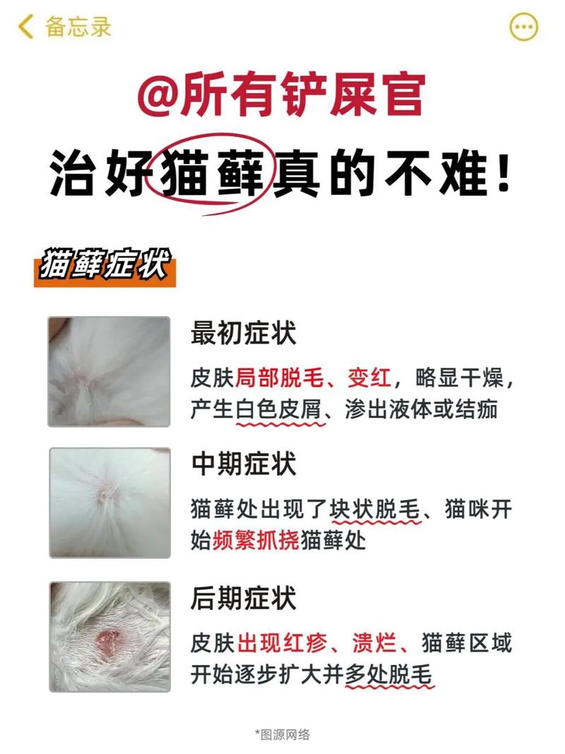 小猫猫藓可以自愈吗