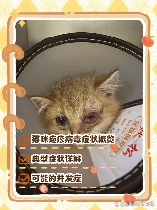 猫有疱疹病毒还能打疫苗吗