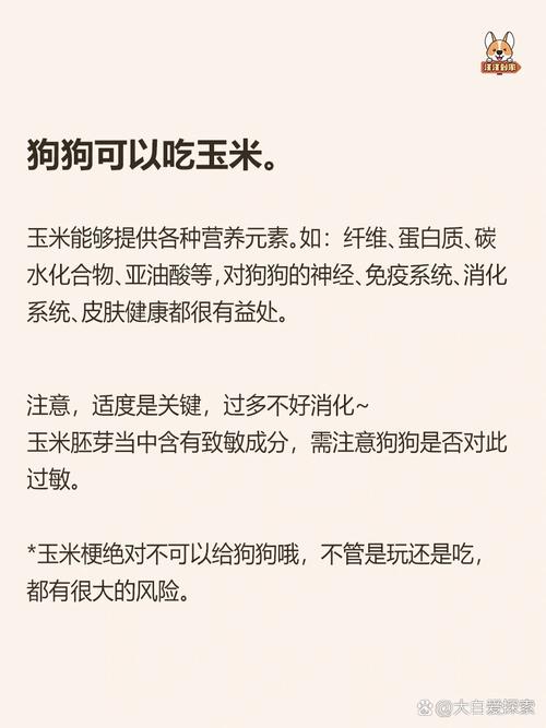 玉米可不可以给狗狗吃?