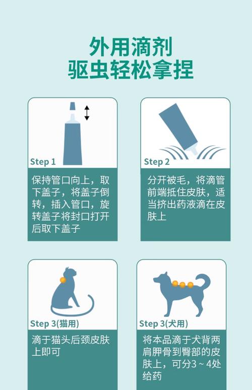 猫拜耳驱虫药怎么吃