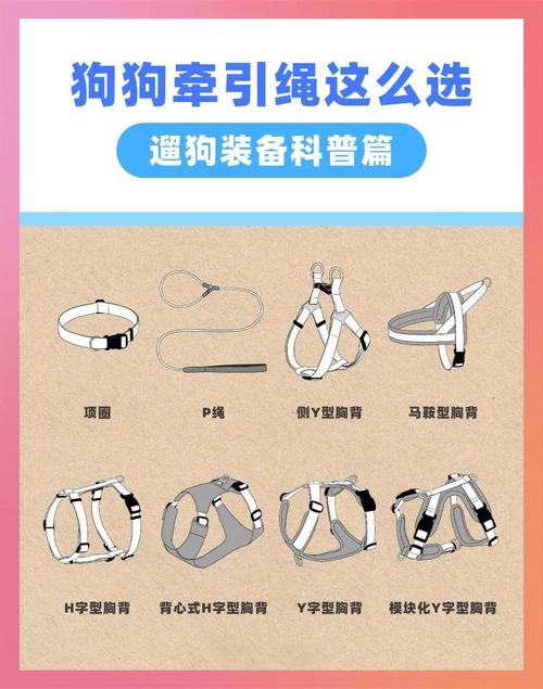 狗狗牵引绳怎么套,如何引导狗狗不抵触牵引绳