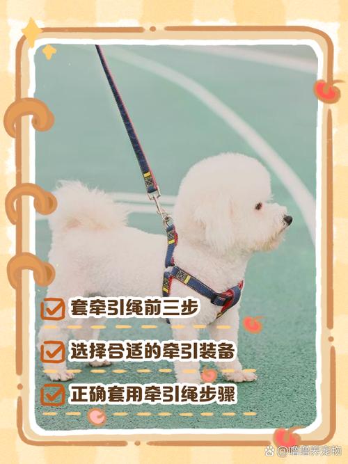 狗狗牵引绳怎么用?
