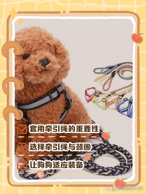 狗狗牵引绳正确使用方法