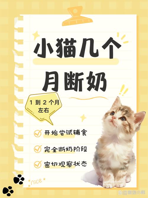 小猫咪多久断奶