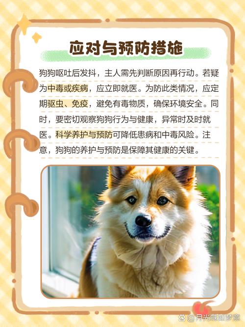 狗狗突然浑身开始颤抖怎么办