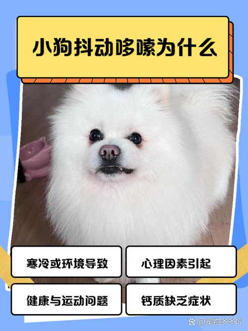 狗狗一碰就叫好像很疼还哆嗦是怎么回事