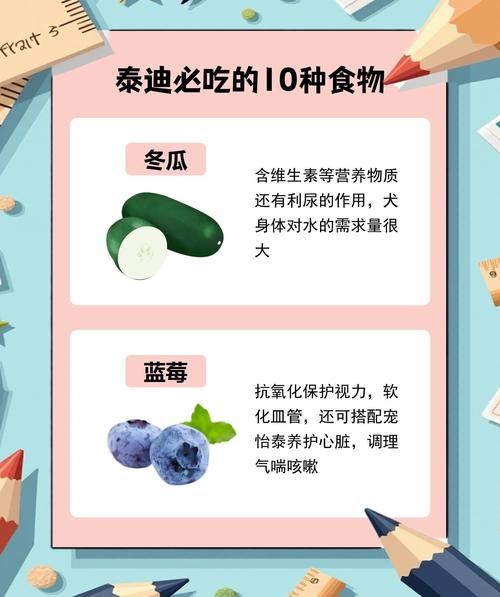 泰迪狗狗吃什么食物好