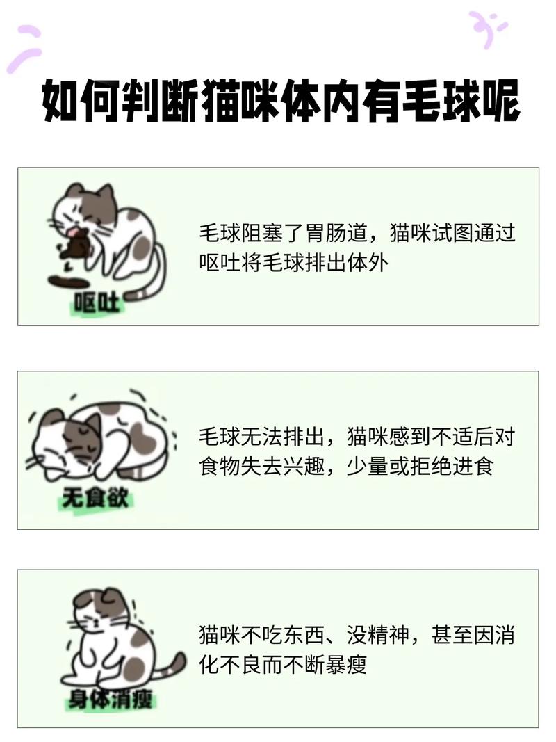 教你让猫吐毛球的方法