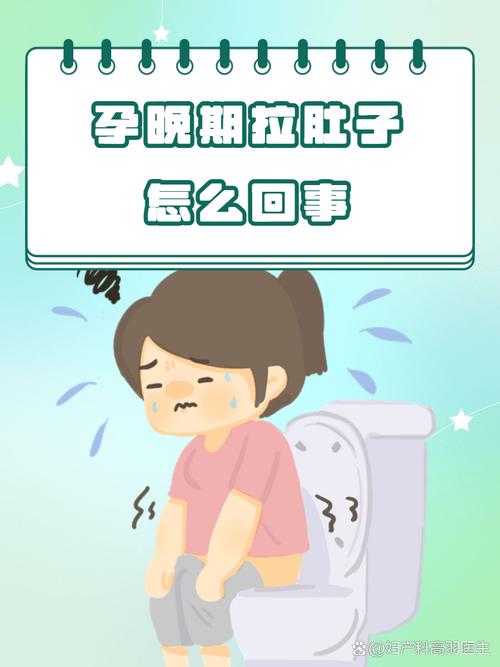 狗狗怀孕了拉稀怎么办