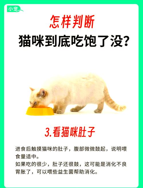 如何判断猫猫是否饱了?