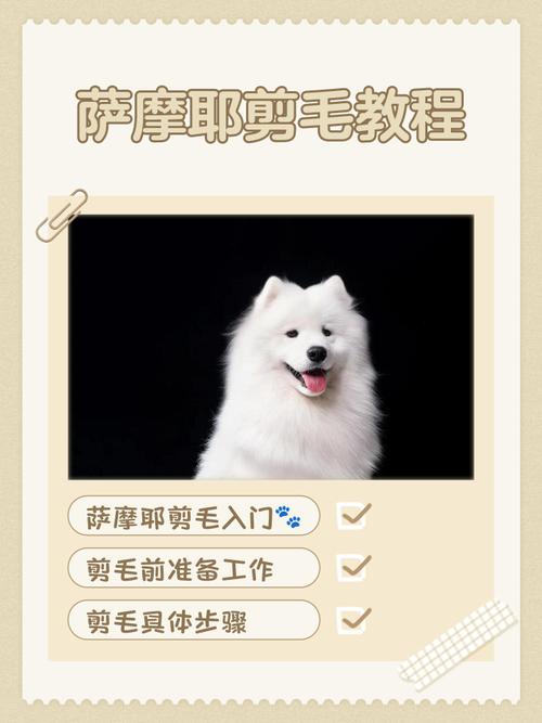 教你如何在家里给狗狗剪毛