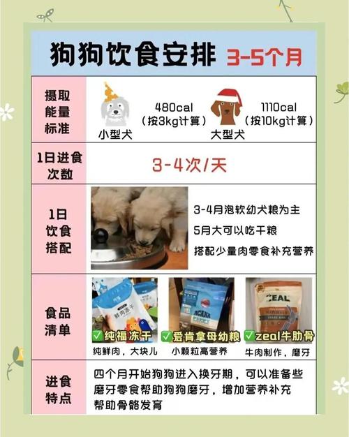 小狗狗什么时候开始可以吃饭呢?