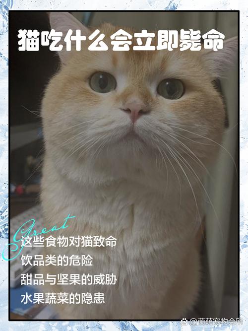 “猫”吃什么东西会死?