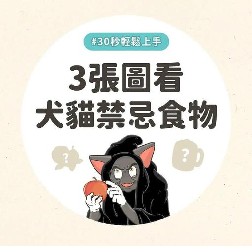 猫猫能吃什么水果