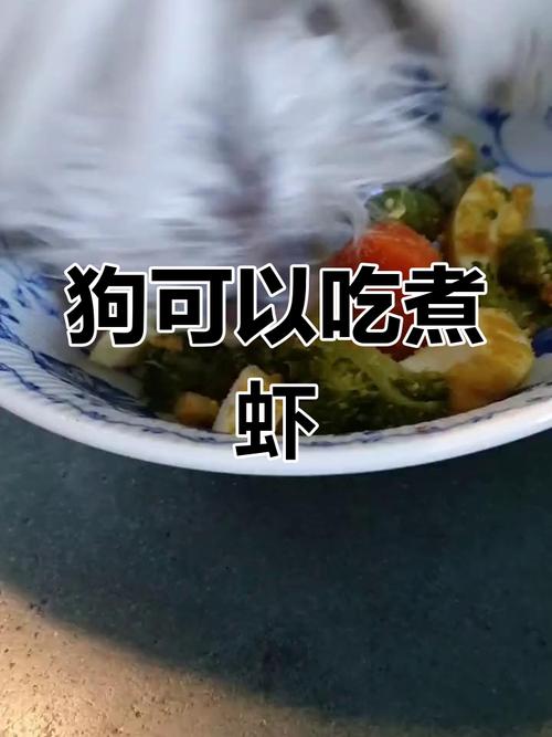 狗狗可以吃水煮虾仁吗