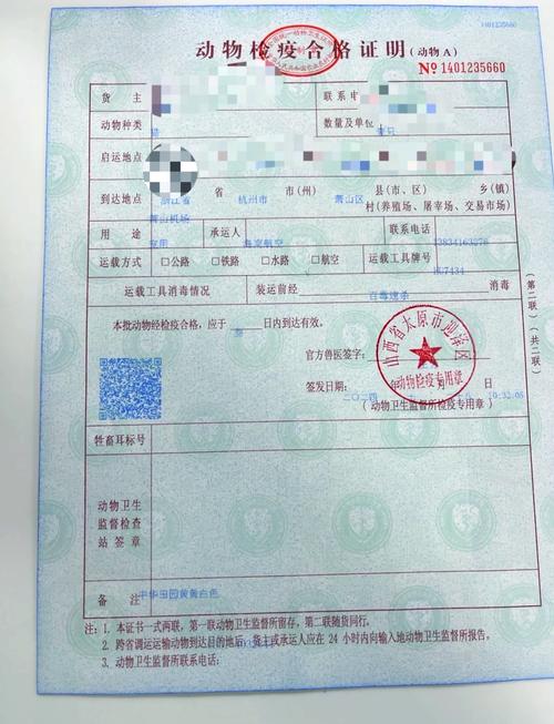 坐火车带猫咪需要准备什么