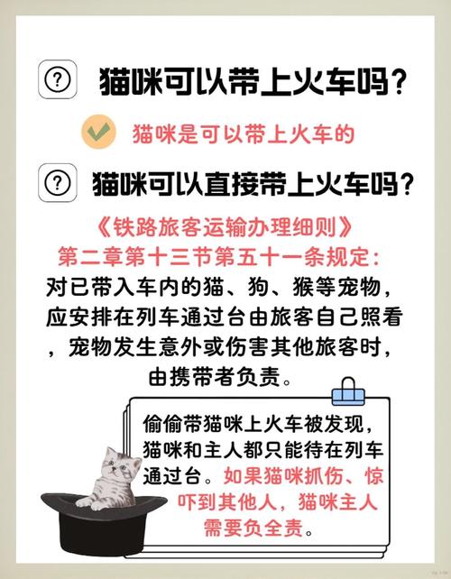 带猫咪上火车,怎样躲过安检呀?