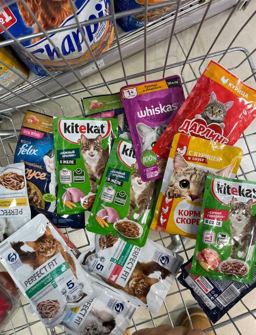 四个月猫咪可以吃什么零食