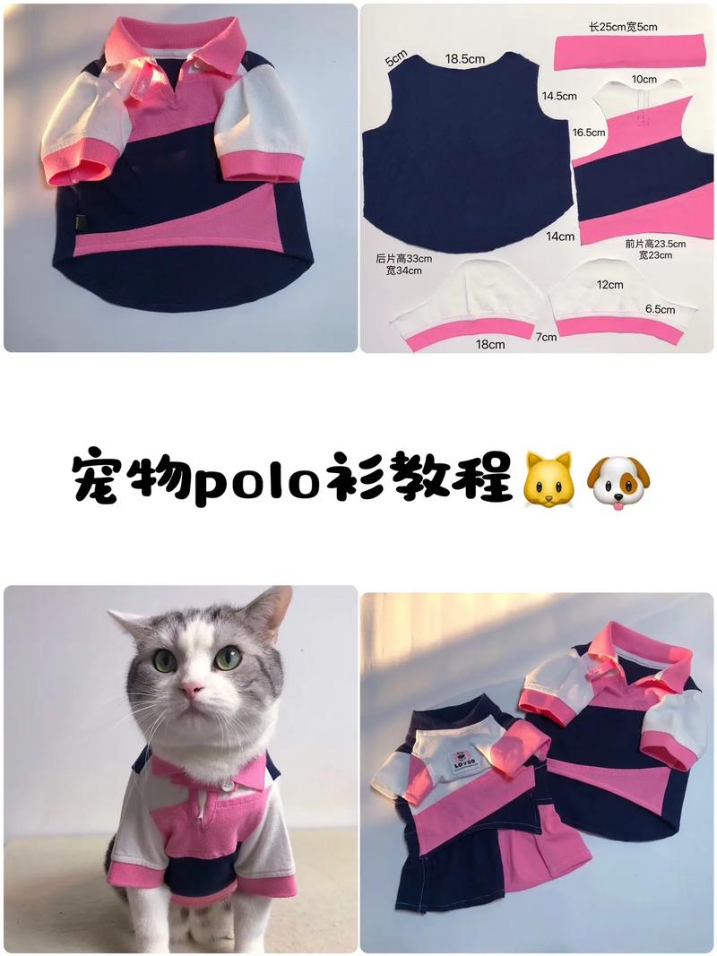 猫咪的衣服怎么织教程