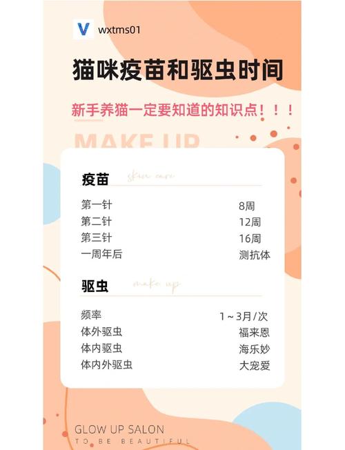 小猫要打什么疫苗可以自己打吗