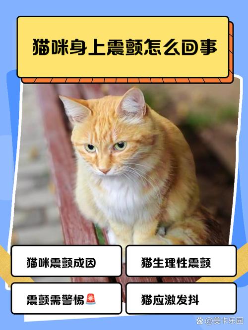 猫咪身体一颤一颤的