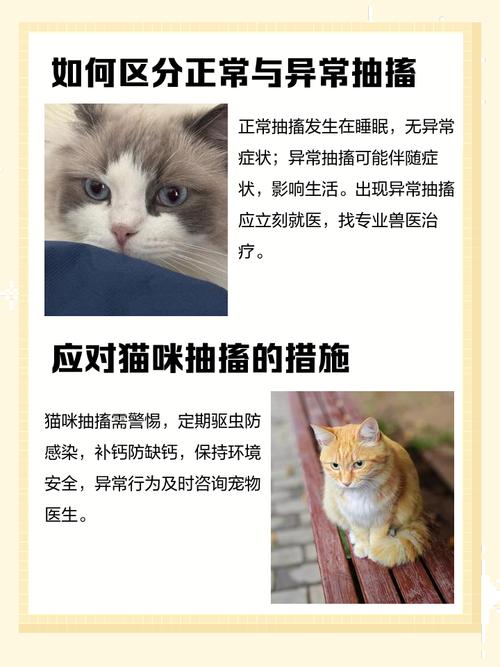 我家小猫背部一抖一抖的怎么回事,尤其是洗完澡抽的很厉害。平常也会偶尔...