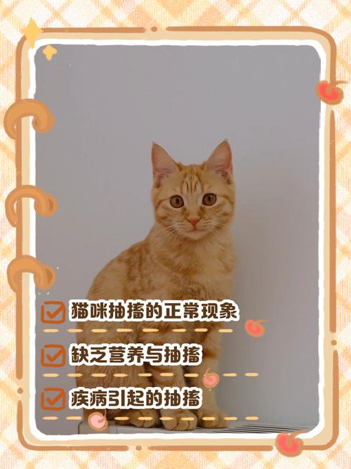 猫咪身上肌肉一抖一抖的是怎么回事?
