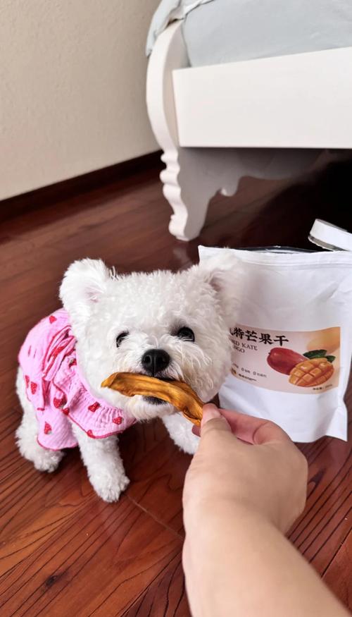 狗能吃芒果干吗