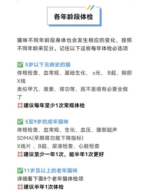 猫咪体检一套下来多少钱