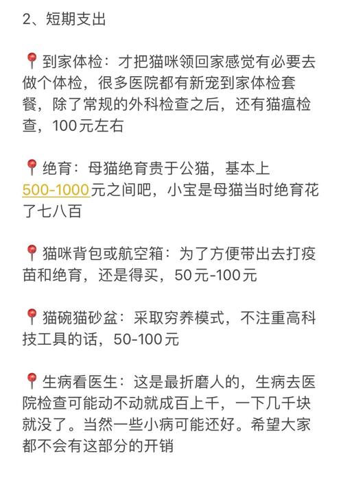 猫咪检查一次要多少钱?