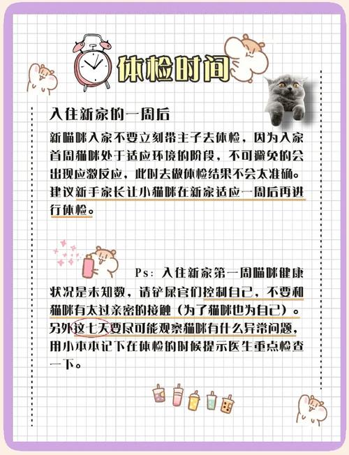 给猫做一次全面体检大约需要多少钱呢?