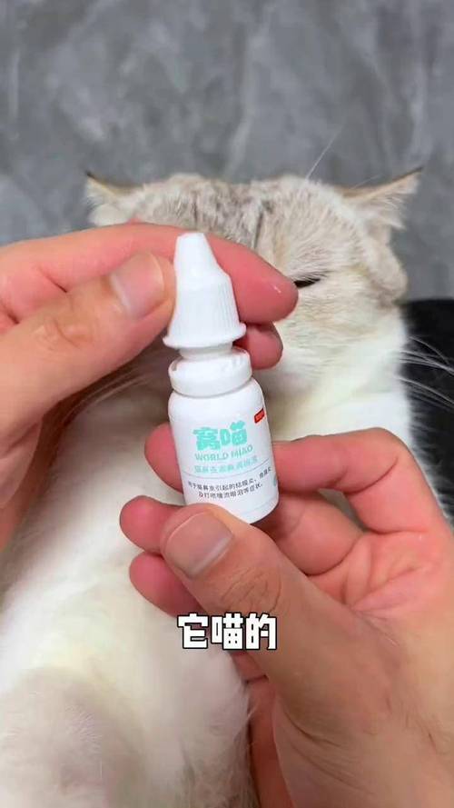 猫咪眼睛流泪有分泌物用什么药