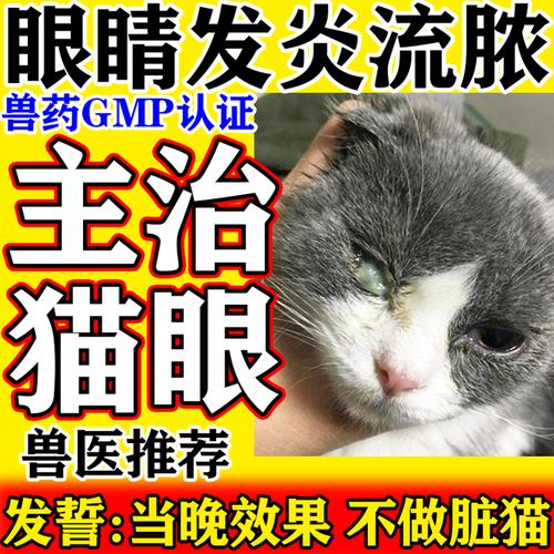 猫咪眼睛红肿流泪有分泌物怎么治?