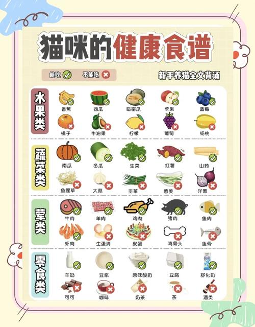 4个月左右的猫咪吃什么水果