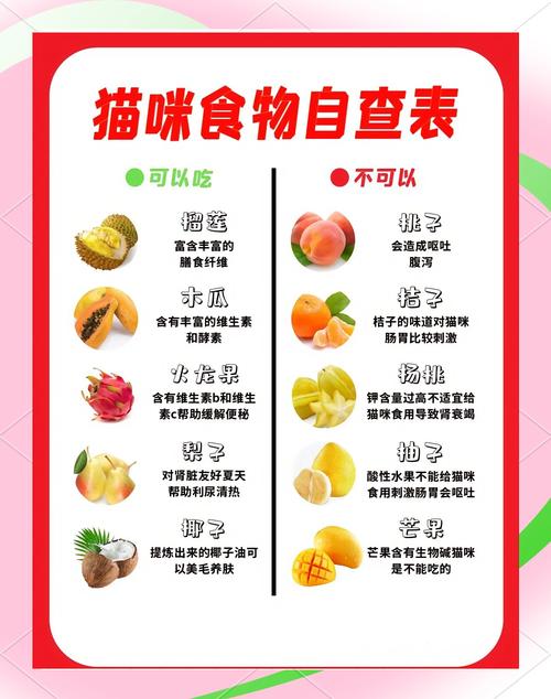 猫咪能吃&不能吃的食物速查表