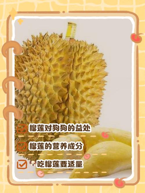 狗能吃榴莲核吗?,狗狗不小心吃了榴莲核怎么办