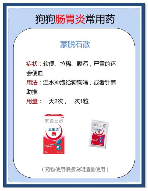 狗狗肠胃炎吃什么消炎药
