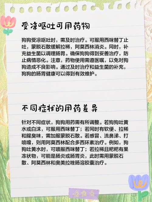 狗狗感冒了吃什么药