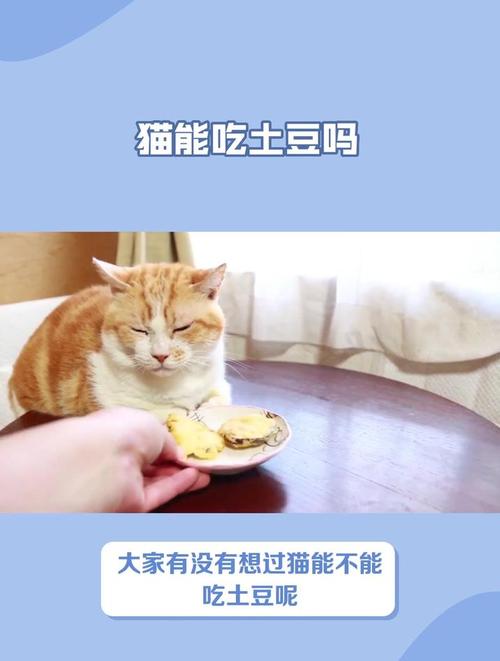 猫咪能吃土豆吗