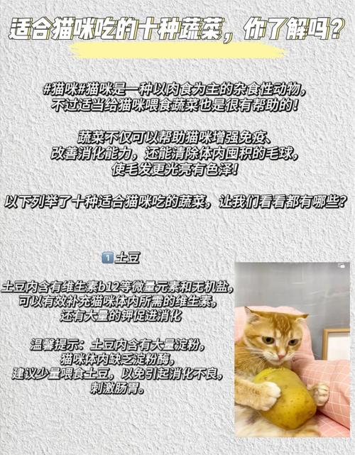 猫吃土豆有什么好处
