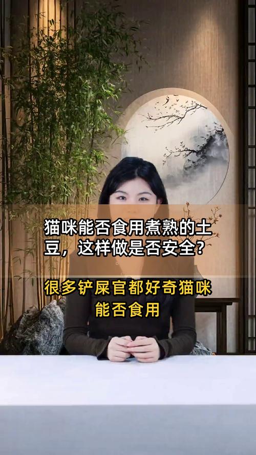 为什么小猫咪要吃土豆