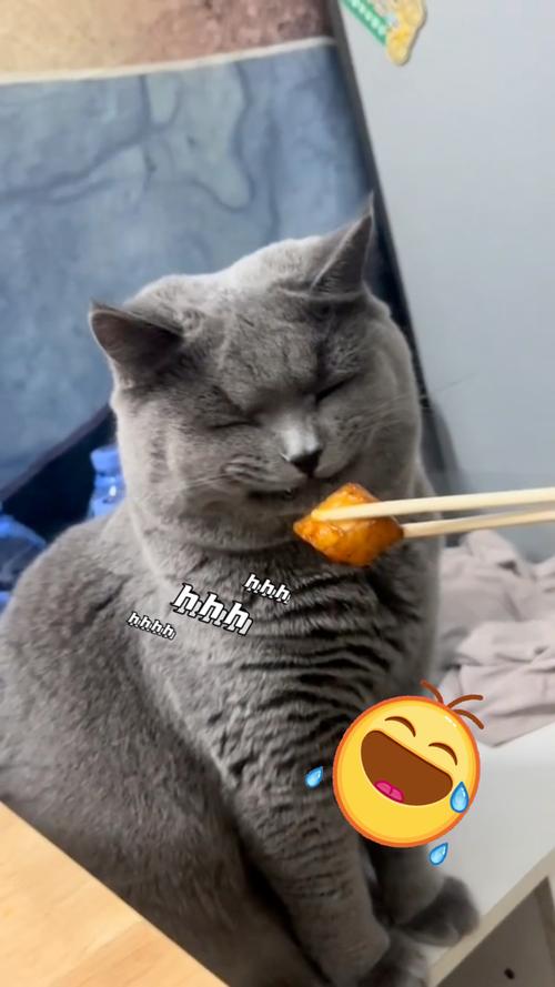 猫咪为啥爱吃土豆