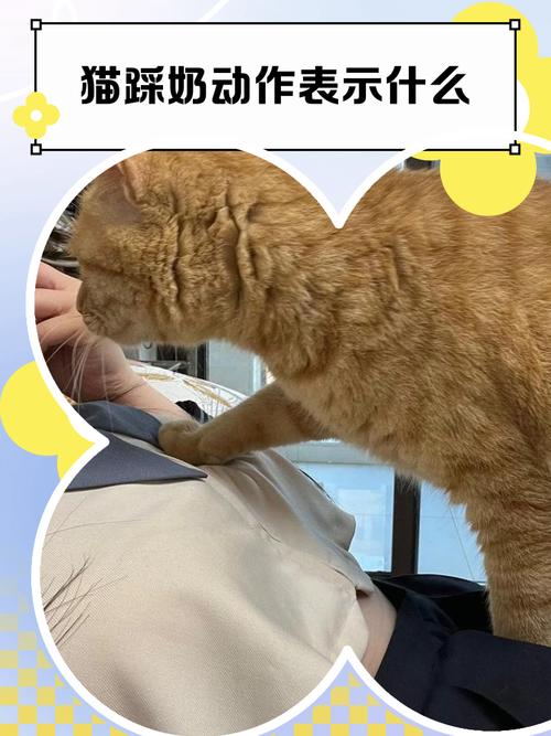 为什么我家猫喜欢舔着我衣服踩奶呀?