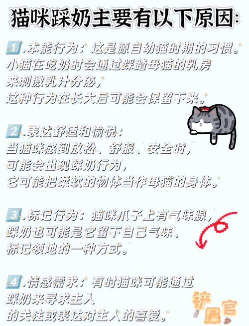猫咪在狗狗身上踩奶,是什么意思?