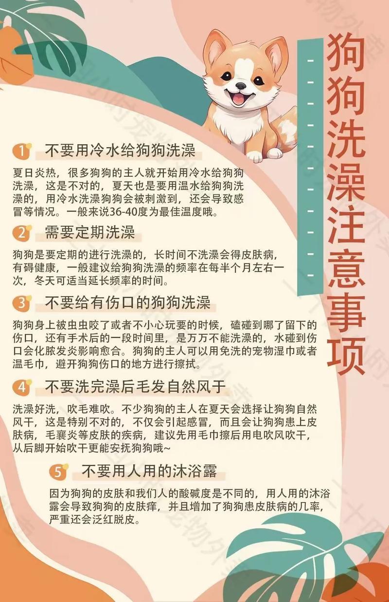 狗狗不能洗澡怎么去味