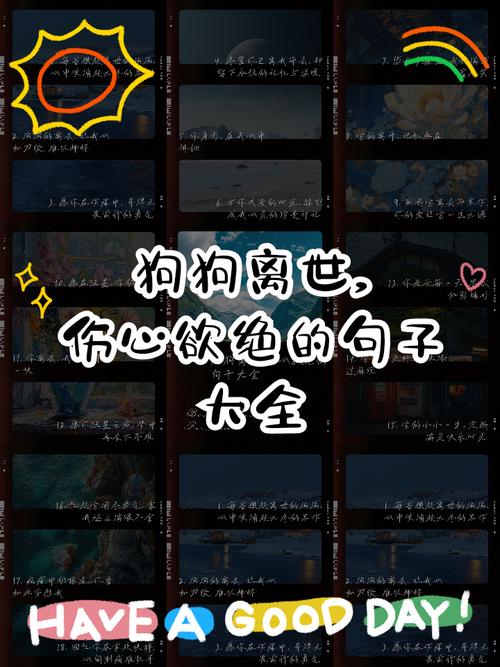 狗狗去世了一直释怀不了