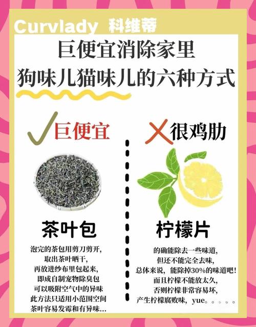 怎么去狗身上的鱼腥味?